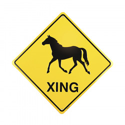 Plaque déco en métal :   XING