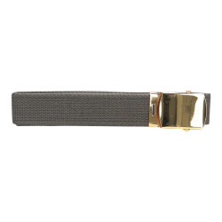 Ceinture avec boucle dorée