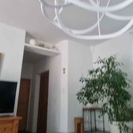 Scie démontable Bushcraft