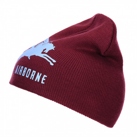 Bonnet: Airborne Pegasus
