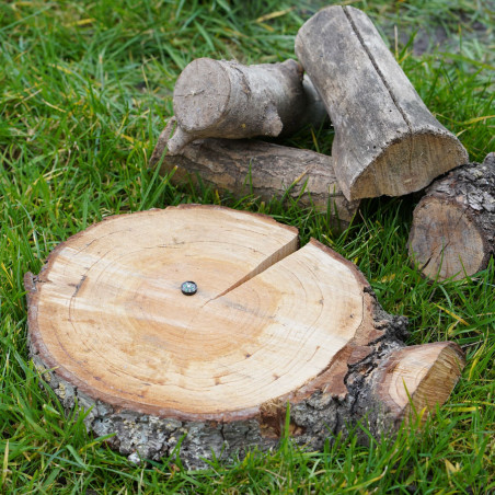 BCB Boussole bouton Explorer CK311