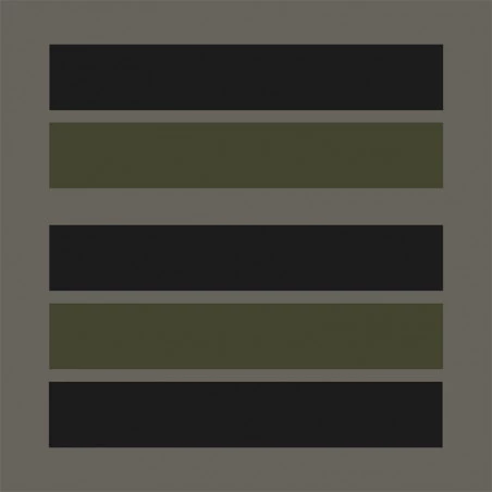 Grade militaire basse visibilité Lieutenant-colonel A10 Equipment