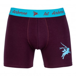 Boxershort Pegasus
