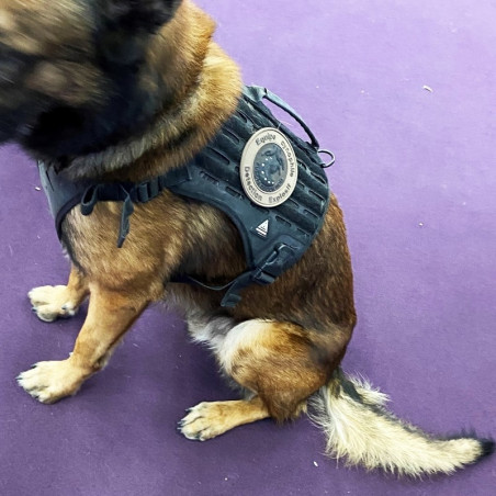 Harnais tactique TAN pour chien DRAKKEN ASSAULT - DIMATEX